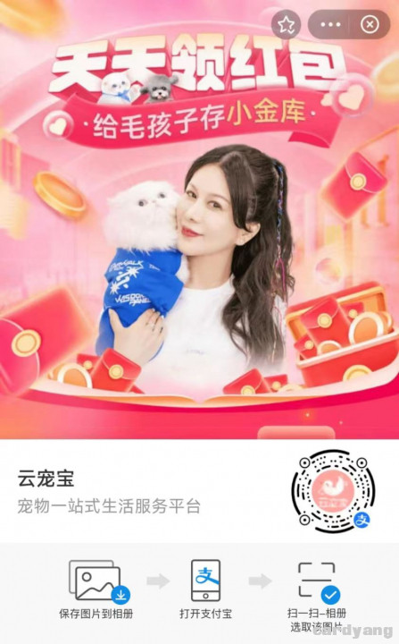 云宠宝111901.jpg