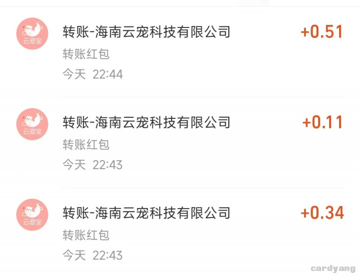 云宠宝111902.jpg